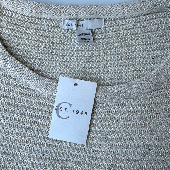 NWT Cato Cream Ivory Metallic Sequin Knit Pullover Sweater Women’s Plus 26/28W - Picture 2 of 8